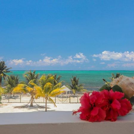 Treetops Hotel Caye Caulker Exterior photo