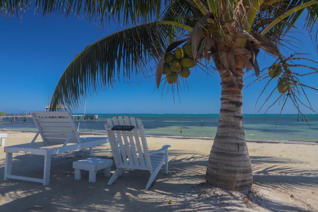 Treetops Hotel Caye Caulker Exterior photo