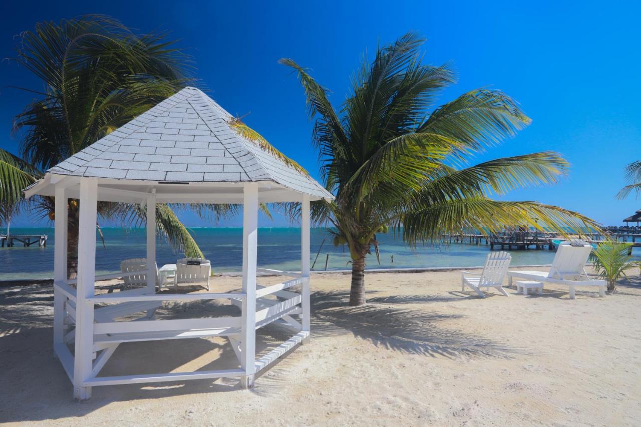 Treetops Hotel Caye Caulker Exterior photo